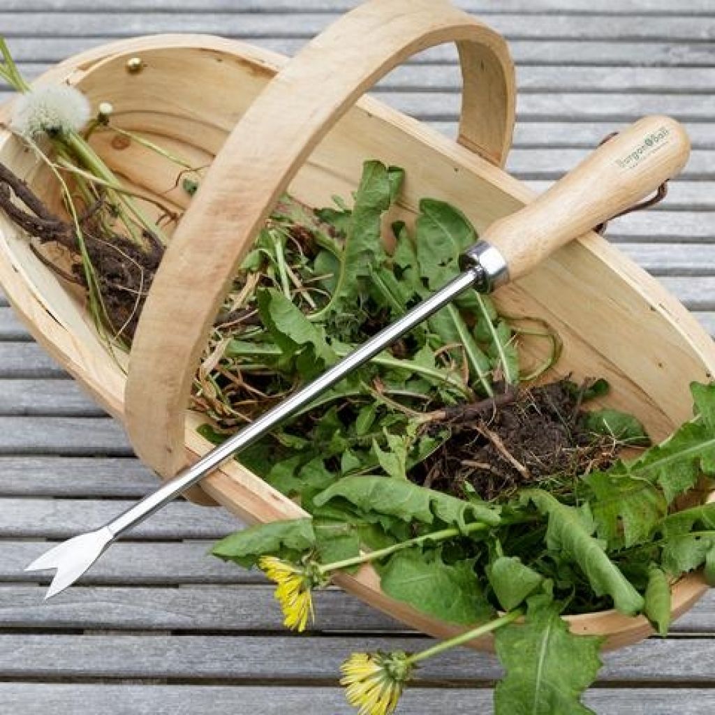 Burgon & Ball Narrow Dandelion Weeder - RHS Range