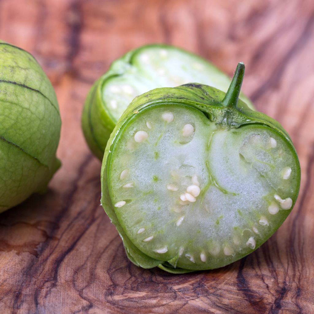 Mexican Tomatillo - Ferme de Sainte Marthe seeds