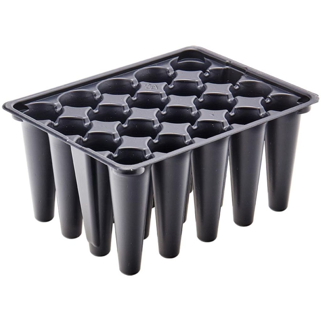 Tray of 20 carrot cells - sold in sets of 5