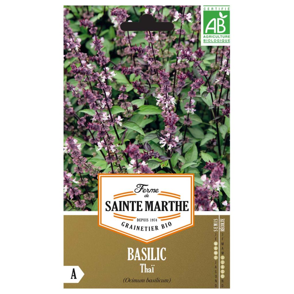 Thai Basil - Ferme de Sainte Marthe Seeds