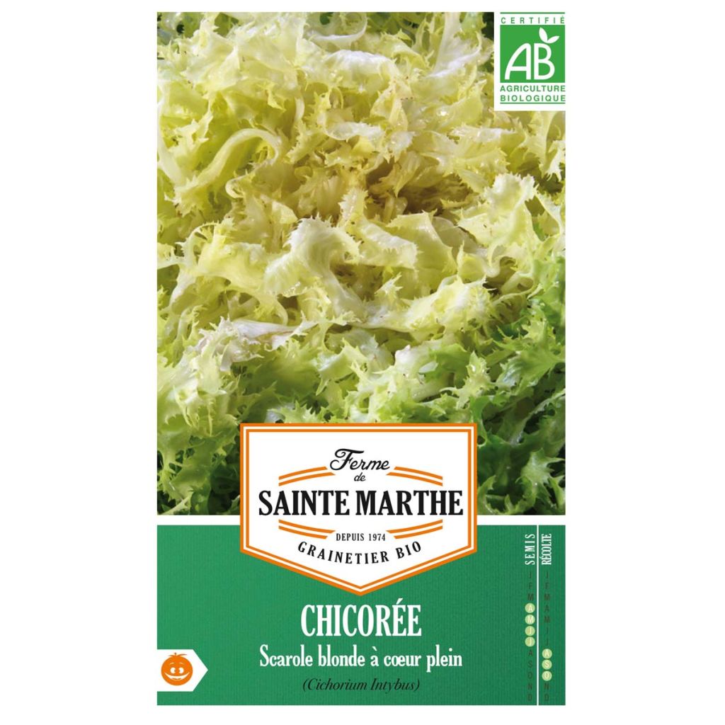 Escarole Blond Full Heart - Ferme de Sainte Marthe Seeds
