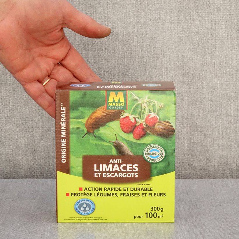 Example of Slug and Snail Control - Masso Garden Tin specimen as delivered