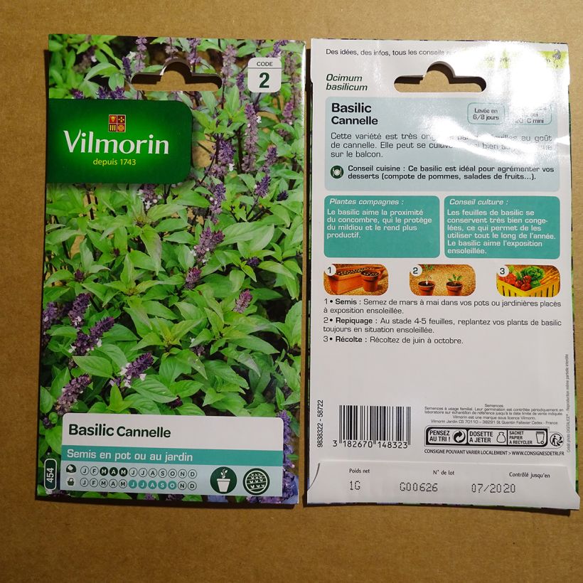 Example of Cinnamon Basil - Vilmorin Seeds specimen as delivered