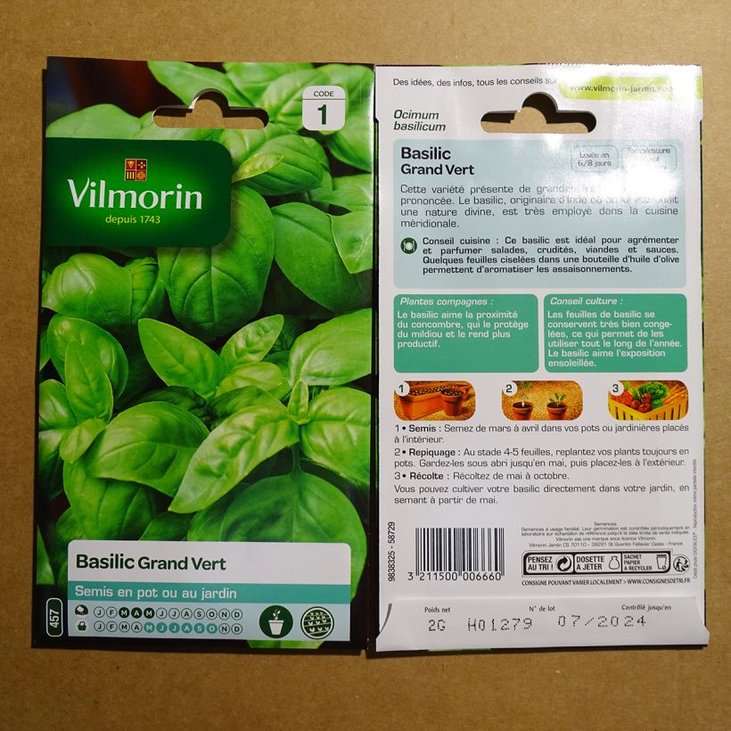 Example of Sweet Basil - Vilmorin Large Leaf Italian Basil specimen as delivered