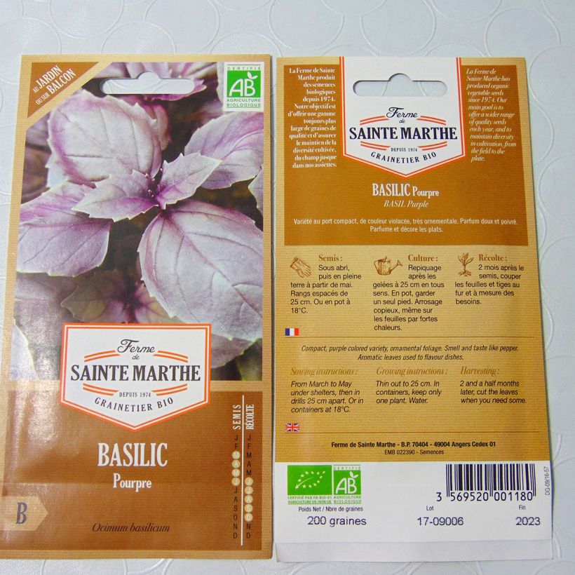 Example of Organic Purple Basil - Ferme de Sainte Marthe seeds specimen as delivered