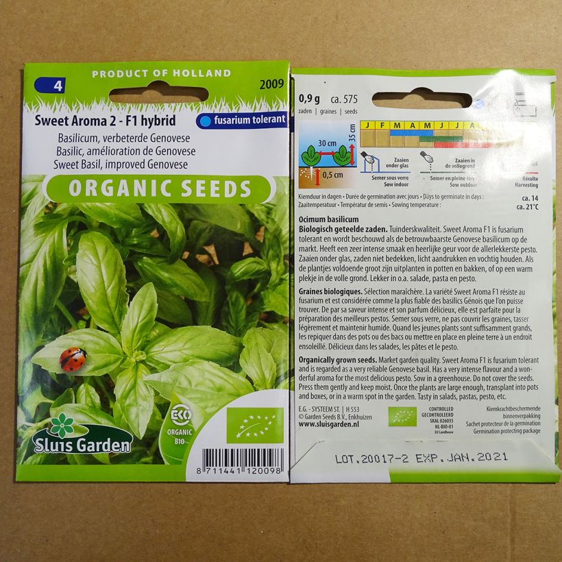 Example of Genovese Basil Sweet Aroma F1 specimen as delivered