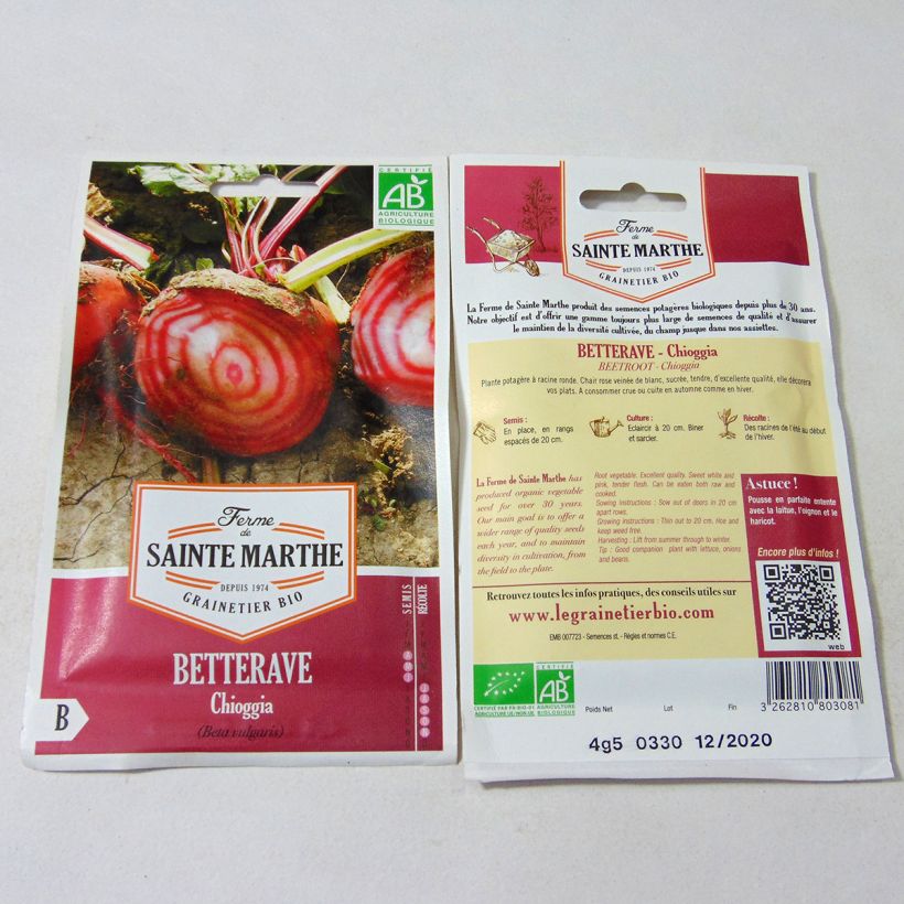 Example of Chioggia Beetroot - Ferme de Sainte Marthe seeds specimen as delivered