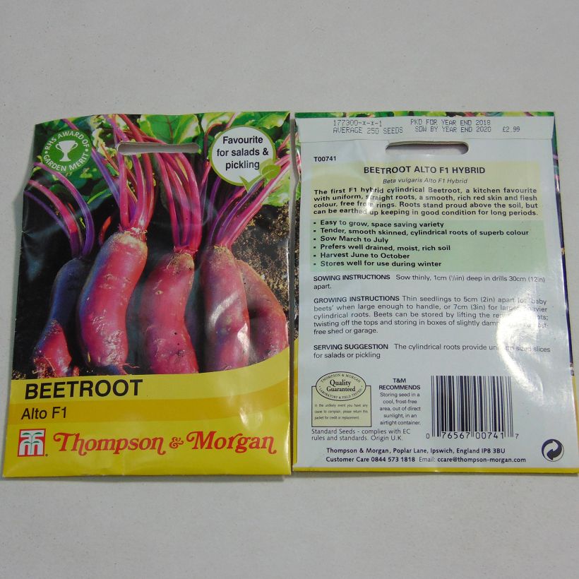 Example of Alto F1 Red Beetroot - Beta vulgaris specimen as delivered