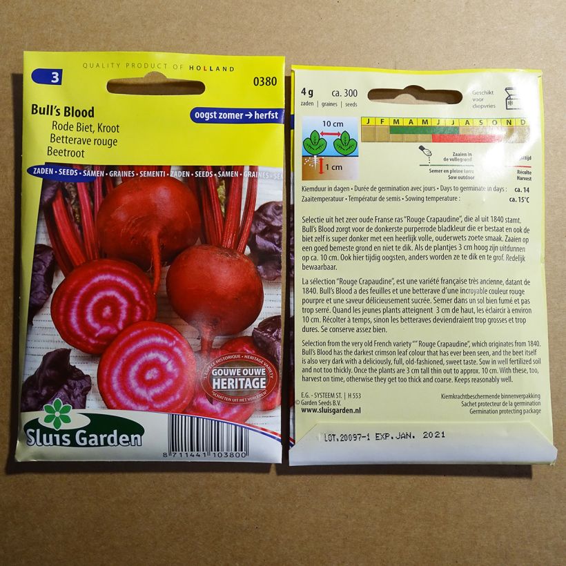 Example of Beetroot Bull’s Blood specimen as delivered