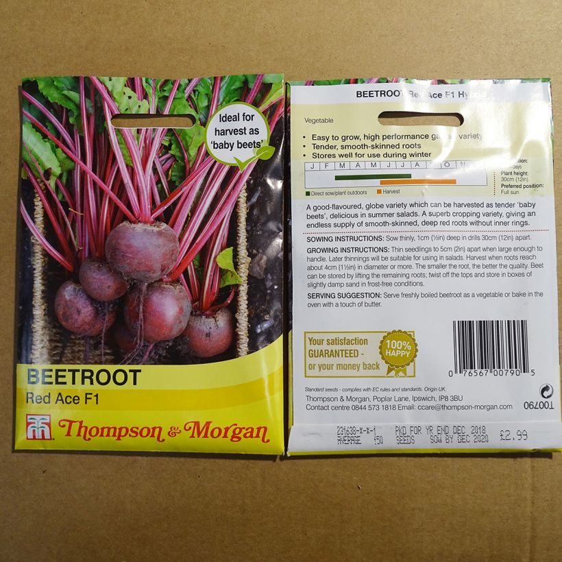 Example of Red Ace F1 Beetroot - Beta vulgaris specimen as delivered