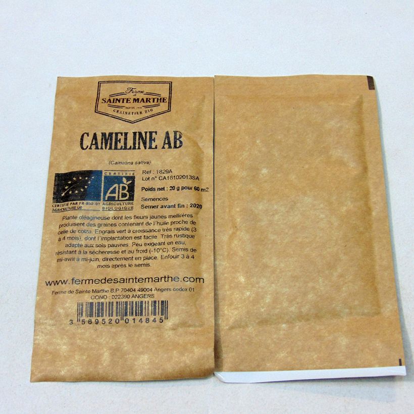 Example of Organic Camelina - Green Manure - Ferme de Sainte Marthe seeds - Gold-of-pleasure specimen as delivered