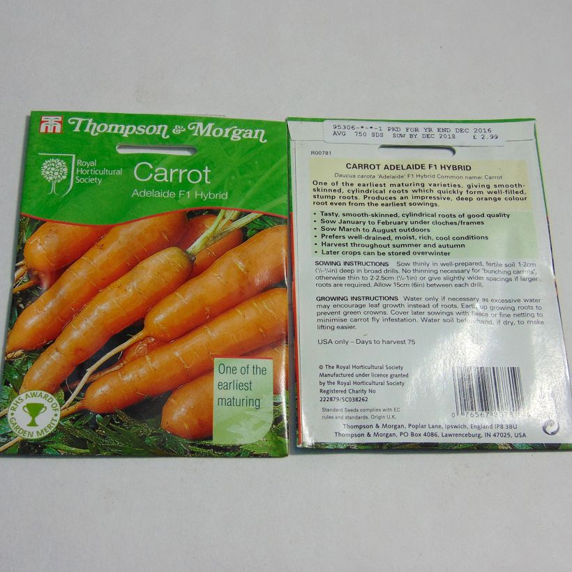 Example of Carrot Adelaide F1 - Daucus carota specimen as delivered