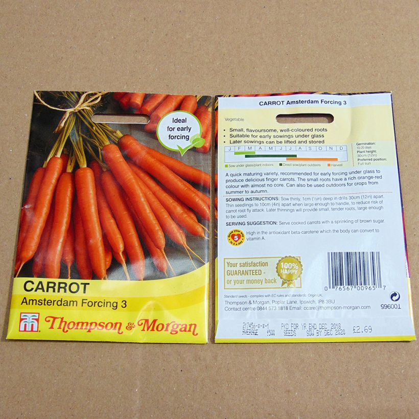 Example of Carrot Amsterdam Forcing 3 - Daucus carota specimen as delivered