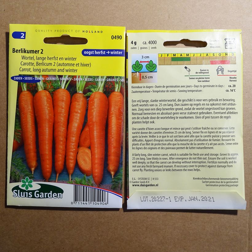 Example of Carrot Berlicum 2 specimen as delivered