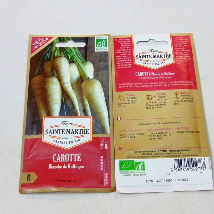 Example of White Carrot Blanche de Küttingen - Ferme de Sainte Marthe Seeds specimen as delivered