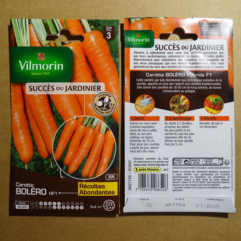 Example of Carrot Bolero F1 - Vilmorin Seeds specimen as delivered