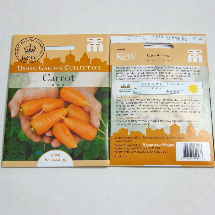 Example of Carrot Caracas - Daucus carota specimen as delivered