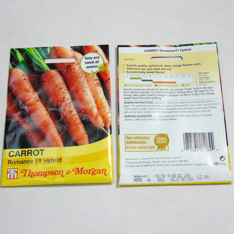 Example of Carrot Romance - Daucus carota specimen as delivered
