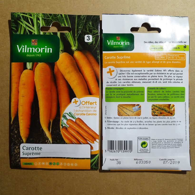 Example of Carrot Supreme - Vilmorin seeds - Daucus carota specimen as delivered