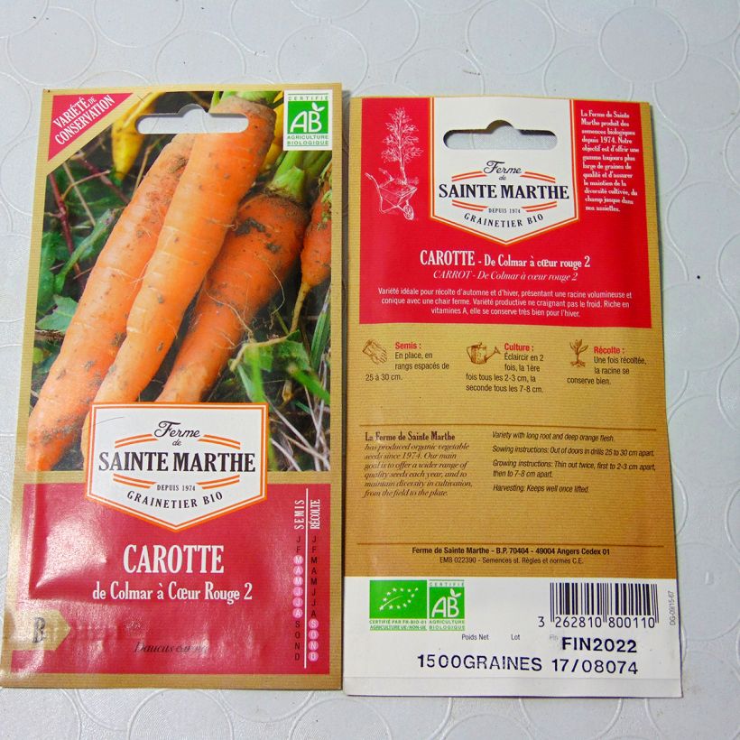 Example of Carrot Autumn King 2 - Ferme de Sainte Marthe seeds specimen as delivered