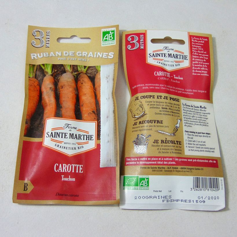 Example of Carrot Touchon Ribbon Seeds - Ferme de Sainte Marthe seeds specimen as delivered
