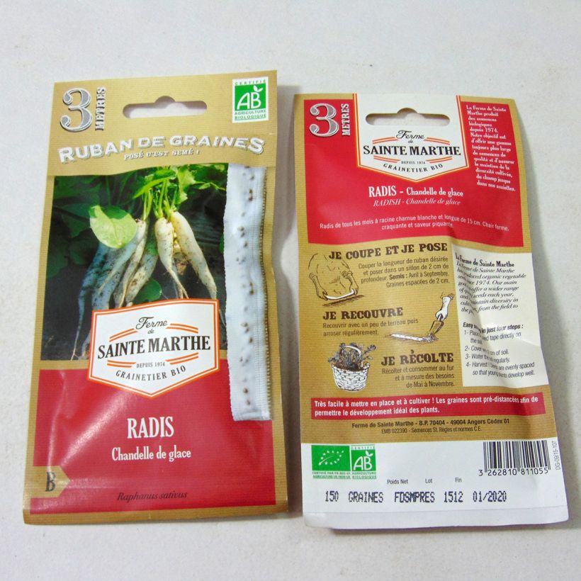 Example of Radish White Icicle Ribbon Seeds - Ferme de Sainte Marthe seeds specimen as delivered