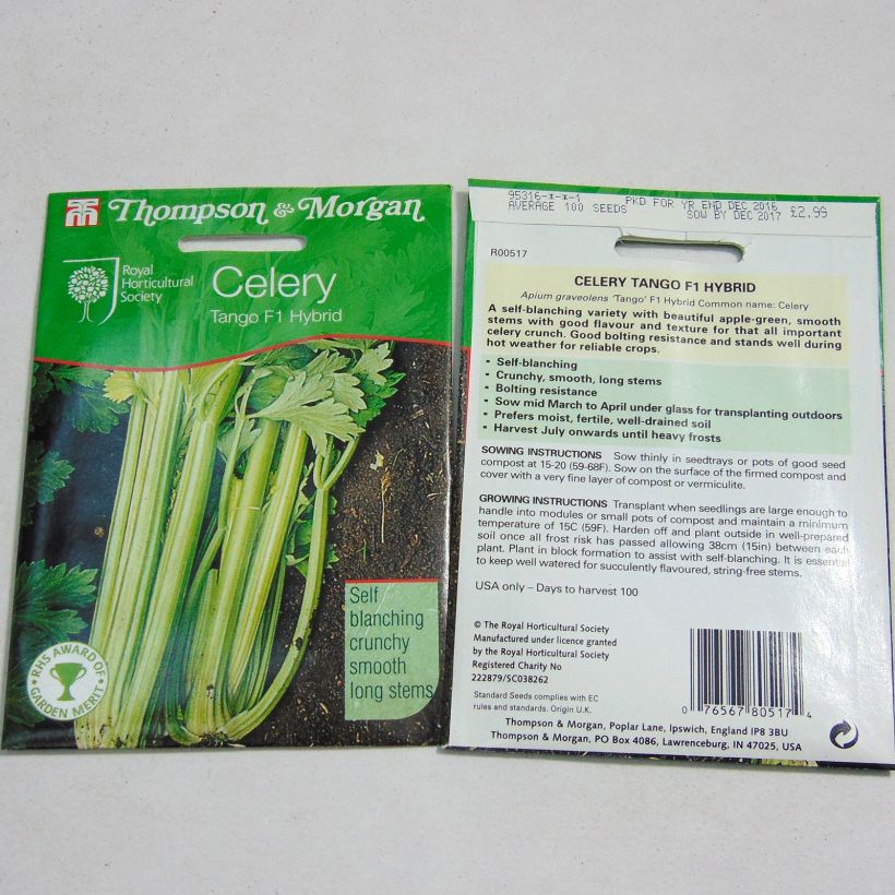 Example of Tango F1 Celery - Apium graveolens specimen as delivered