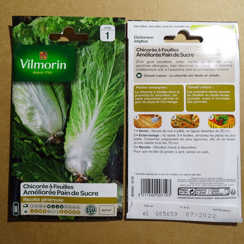 Example of Sugarloaf Chicory Improved - Vilmorin seeds specimen as delivered