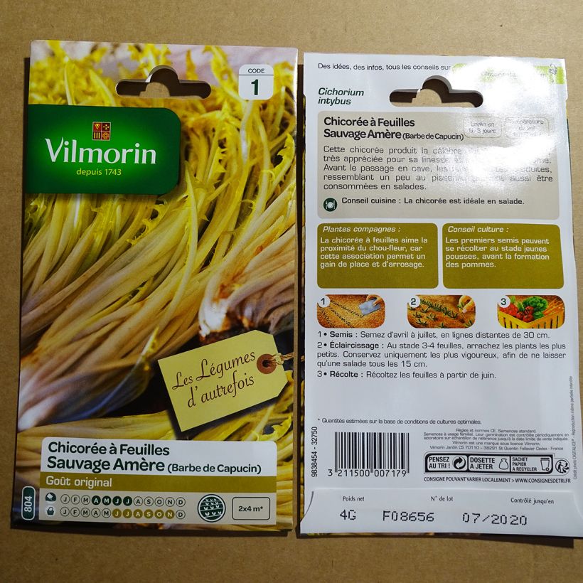 Example of Chicory Barbe de Capucin - Vilmorin Seeds specimen as delivered