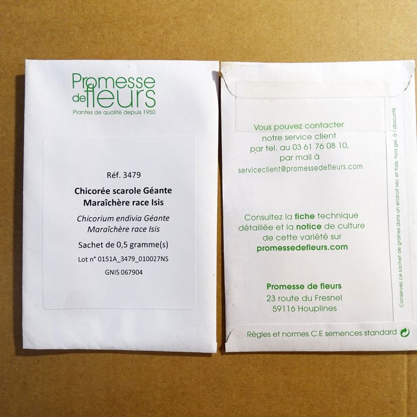 Example of Escarole Géante Maraîchère Isis per pack of 300 seeds (0.5g) specimen as delivered