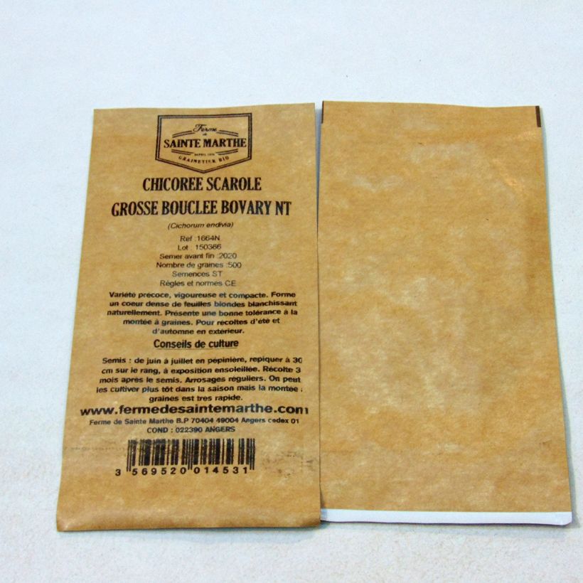 Example of Escarole Grosse Bouclée Bovary (untreated) - Ferme de Sainte Marthe seeds - Cichorium endivia var. latifolium per pack of 500 seeds specimen as delivered