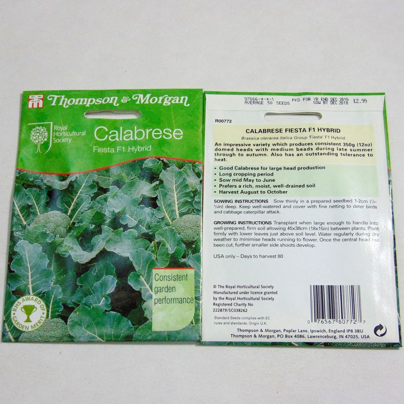 Example of Broccoli Fiesta F1 - Brassica oleracea italica specimen as delivered