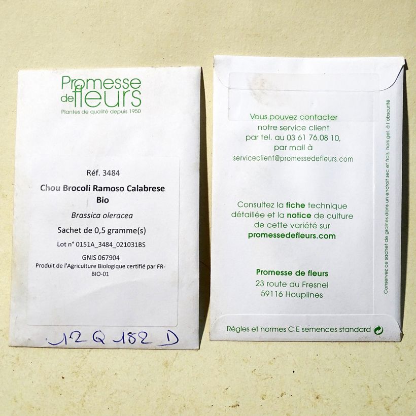 Example of Organic Broccoli Ramoso Calabrese - Brassica oleracea italica specimen as delivered