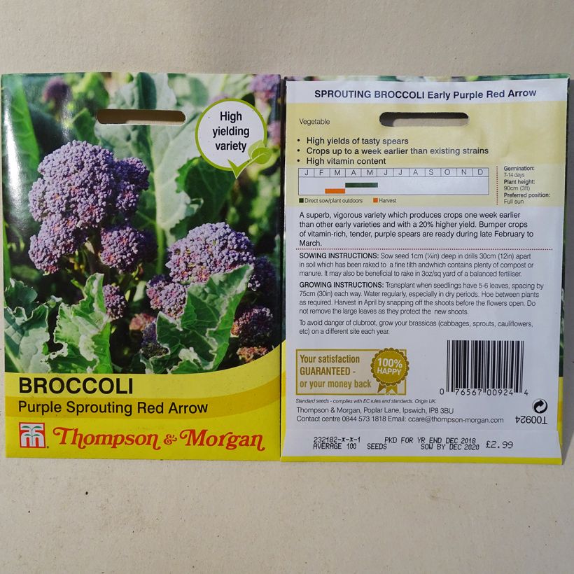 Example of Broccoli Red Arrow - Brassica oleracea italica specimen as delivered