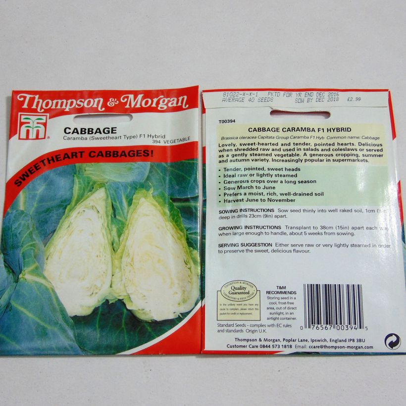 Example of Cabbage Caramba F1 - Brassica oleracea capitata specimen as delivered