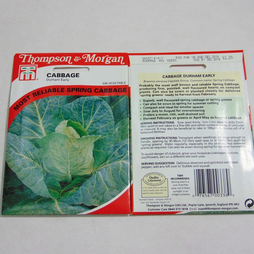 Example of Cabbage Durham Early - Brassica oleracea capitata specimen as delivered