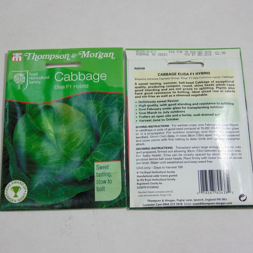 Example of Cabbage Elisa F1 - Brassica oleracea capitata specimen as delivered