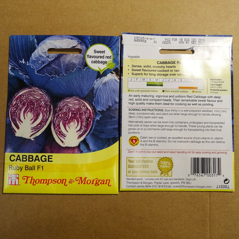 Example of Red Cabbage Ruby Ball F1 - Brassica oleracea capitata specimen as delivered