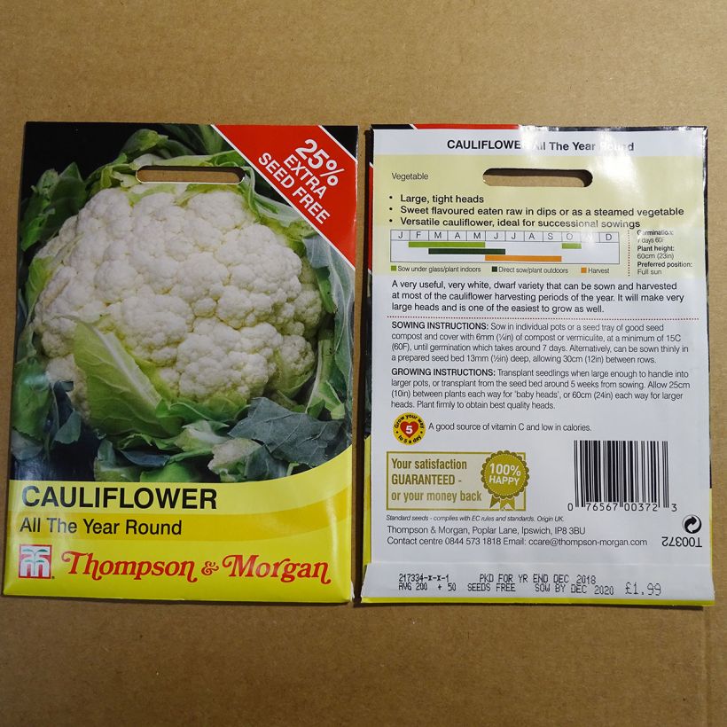Example of Cauliflower All The Year Round specimen as delivered