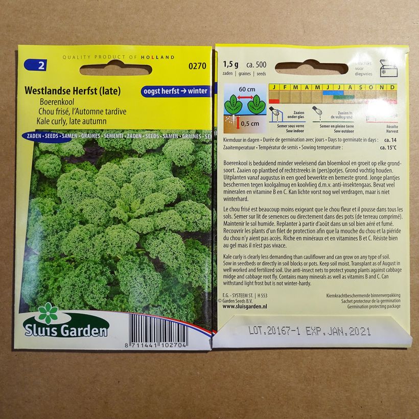 Example of Curly Kale Late Autumn specimen as delivered
