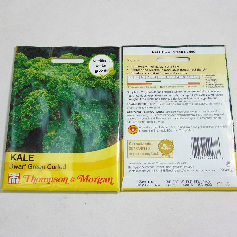 Example of Kale Dwarf Green Curled - Brassica oleracea acephala specimen as delivered