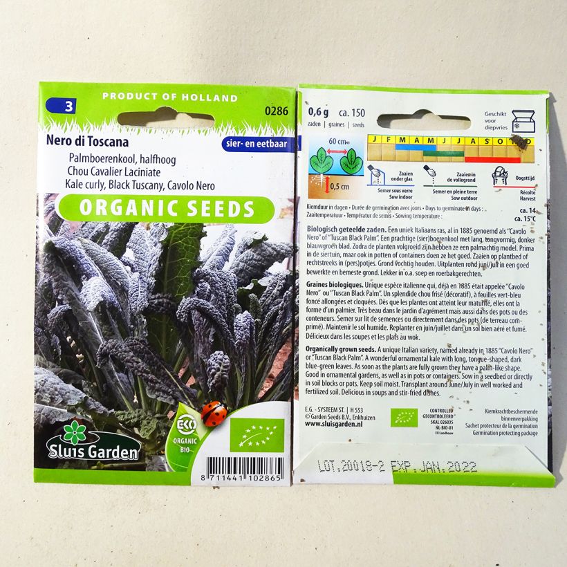 Example of Tuscan Kale Nero di Toscana Organic  - Lacinato kale specimen as delivered