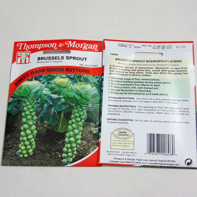 Example of Brussels Sprout Bosworth F1 - Brassica oleracea gemmifera specimen as delivered