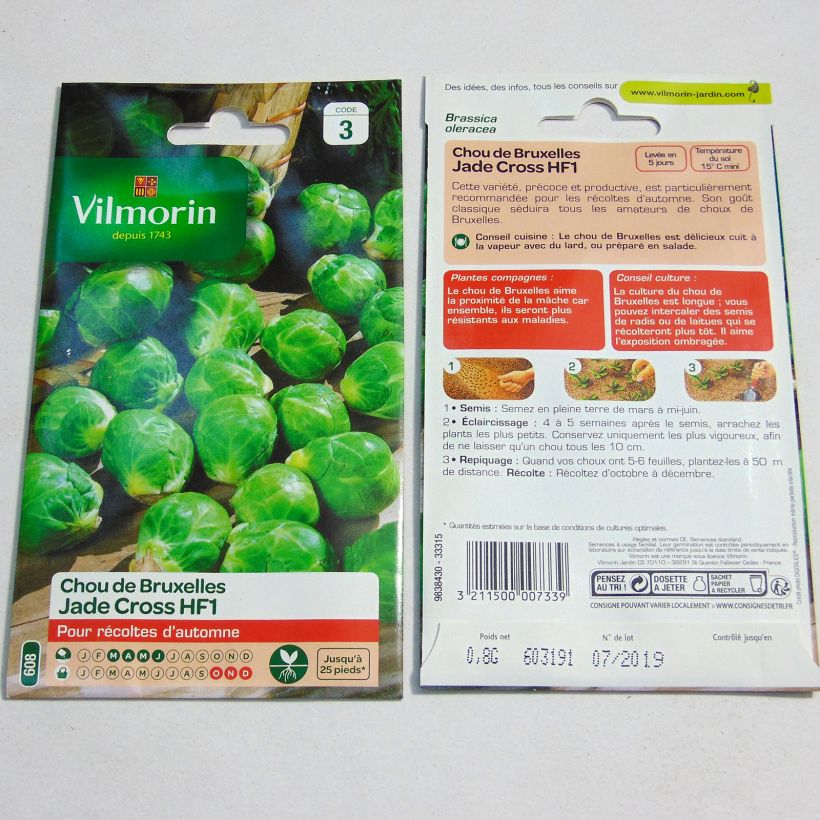 Example of Brussels sprouts Jade Cross F1 - Vilmorin Seeds specimen as delivered
