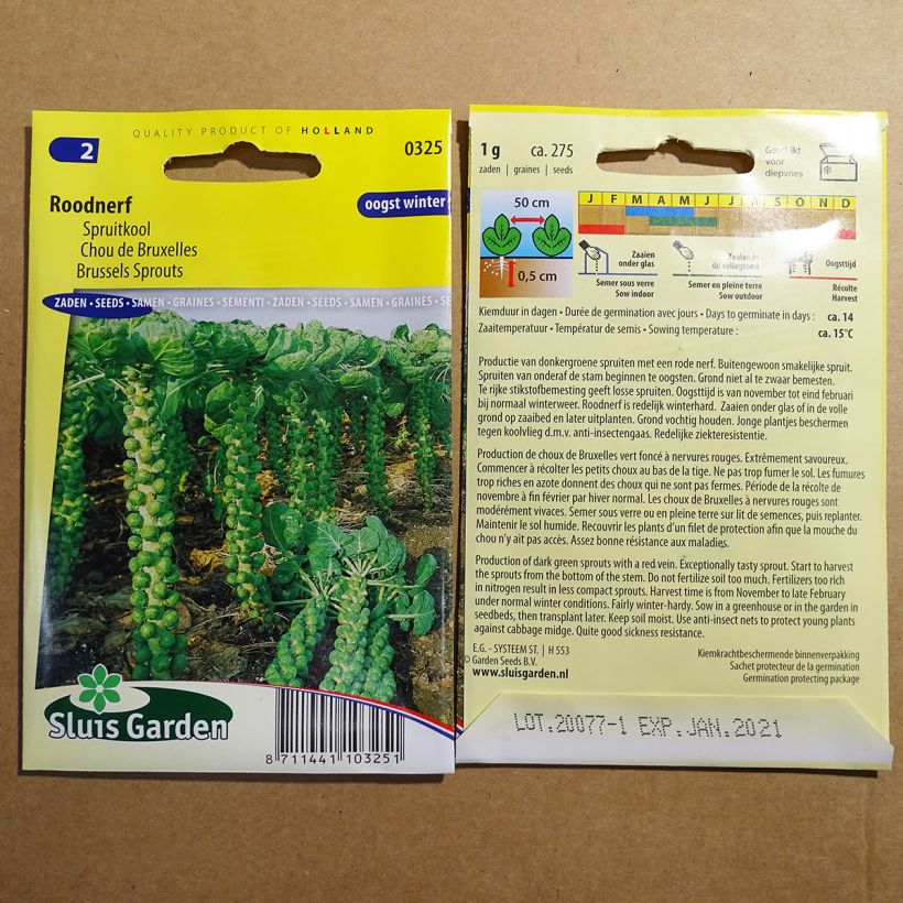 Example of Brussels sprouts Roodnerf specimen as delivered