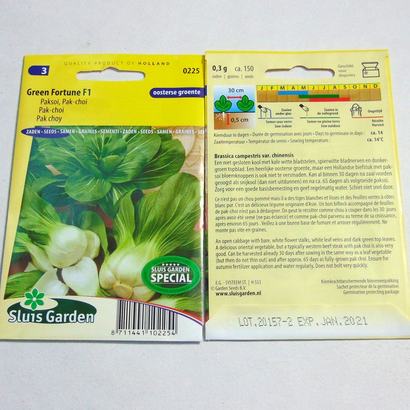 Example of Chinese Cabbage Green Fortune F1 - Pak Choi specimen as delivered