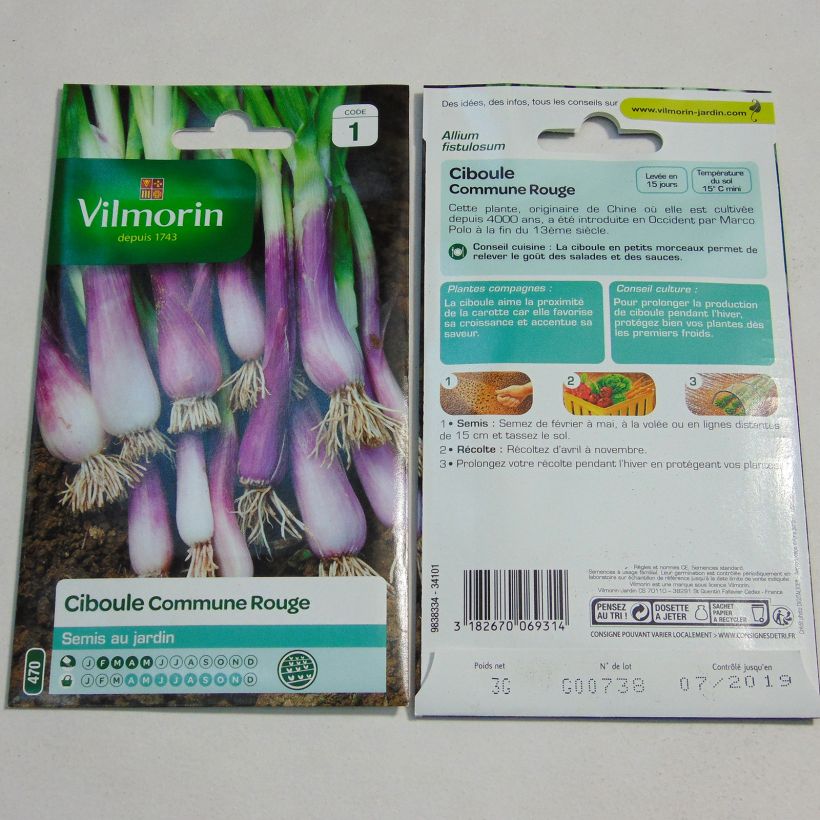 Example of Red Scallion - Vilmorin Seeds specimen as delivered