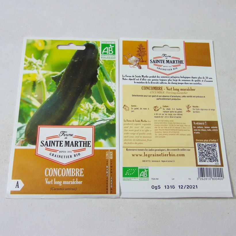 Example of Cucumber Vert Long Maraîcher - Ferme de Sainte Marthe Seeds specimen as delivered
