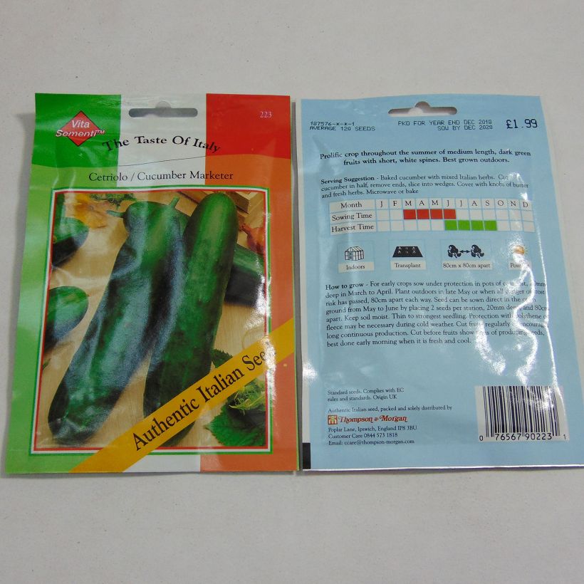 Example of Cucumber Cetriolo Marketer - Cucumis sativus specimen as delivered