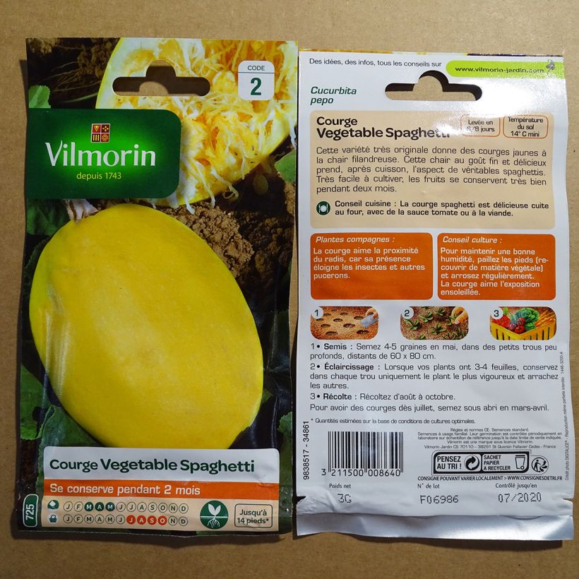 Example of Squash Vegetable Spaghetti - Vilmorin Seeds specimen as delivered